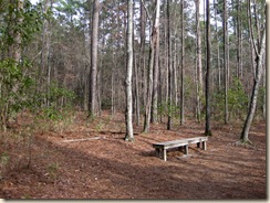 Welcome Bench on Walking Trail at Sesqui