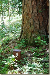 trail marker 4