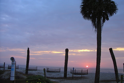 shark attacks in edisto beach