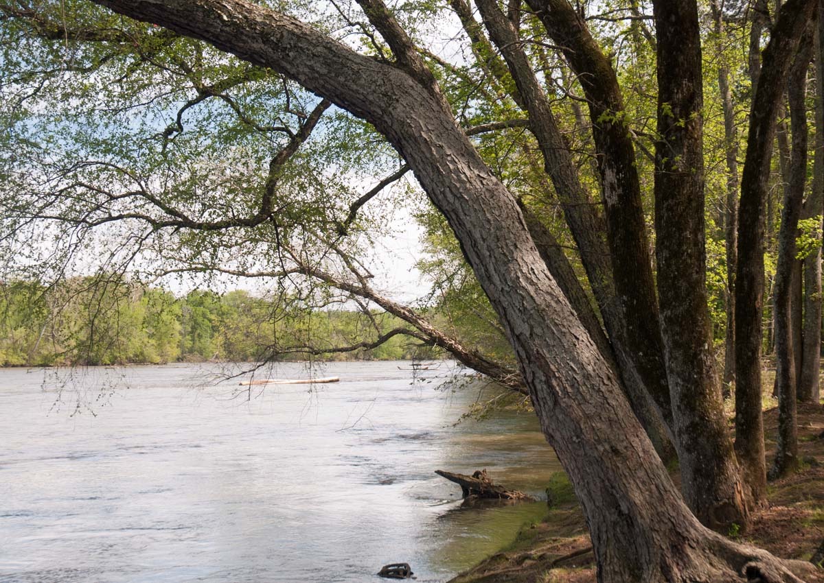 [riverbank[3].jpg]