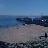  Scuba Diving - Monterey AugSept 2009