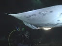 bbj7.jpg