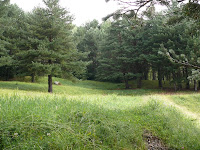 Espierba, Circular-4.JPG
