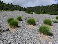 Pedreras Photo