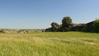 Campos y rocas Photo