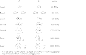 [AA]Growth of Giko and Shii