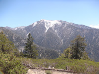 DSC01253.JPG Photo