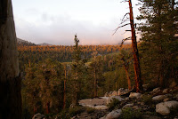 DSC03013.JPG Photo