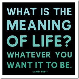 meaning-of-life