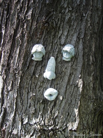 [mom's garden 022[10].jpg]