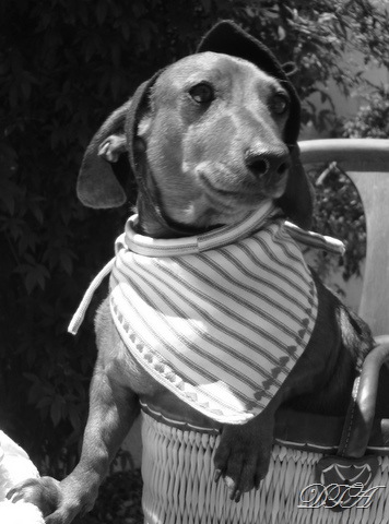 merci beaucoup 012 merci beaucoup 012