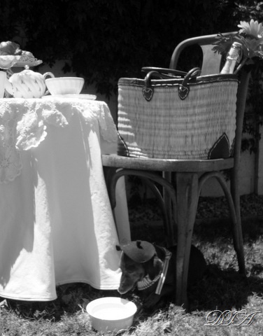 [merci beaucoup 032-1[2].jpg]