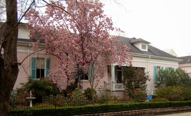 [New Orleans 261[5].jpg]