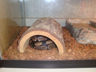 [halloween 006[5].jpg]