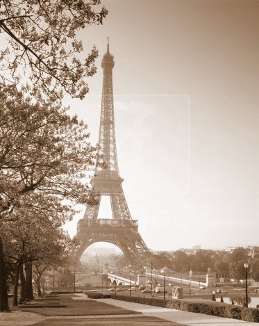 [France-Paris-Eiffel-Tower-dawn[5].jpg]
