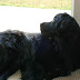 DSC00734.JPG