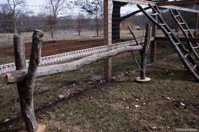 [Martha's chicken coop2[3].jpg]