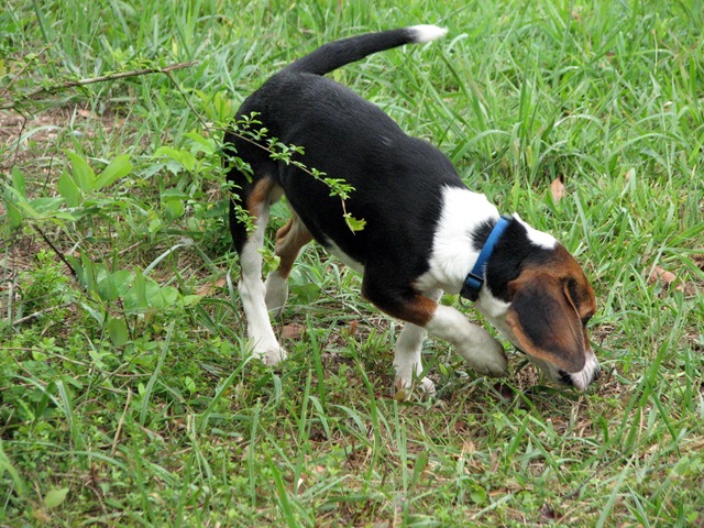 [winston[7].jpg]