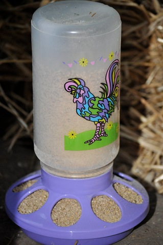 [feeder[3].jpg]