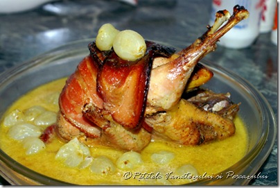 Fazan cu struguri 0031