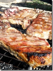 gratar2