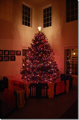 Christmas Tree 2010 040