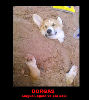 http://lh4.ggpht.com/_k03PhyiV-Vk/S2mlpjuYWtI/AAAAAAAAAQg/syt1Be6cFMw/s400/cachorro-enterrado-na-areia_1.jpg