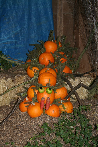 Halloween Half Term - "Pirates of Church Farm" | Halloween Half Term - "Pirates of Church Farm" | Church Farm, Downham Market, West Norfolk, England, UK