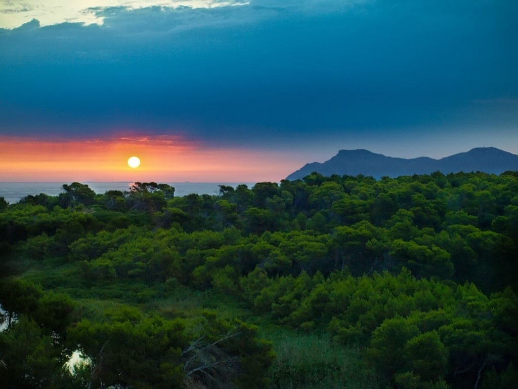 [Amanecer en el mar[5].jpg]