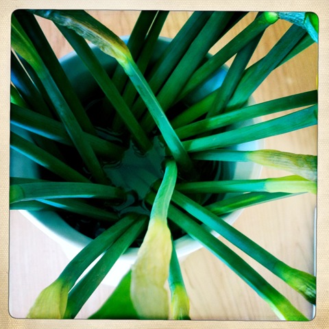 March - something green March - something green