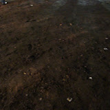 DSC03907.JPG