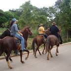 DSC04054.JPG