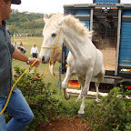 DSC04059.JPG