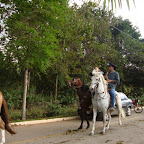 DSC04105.JPG