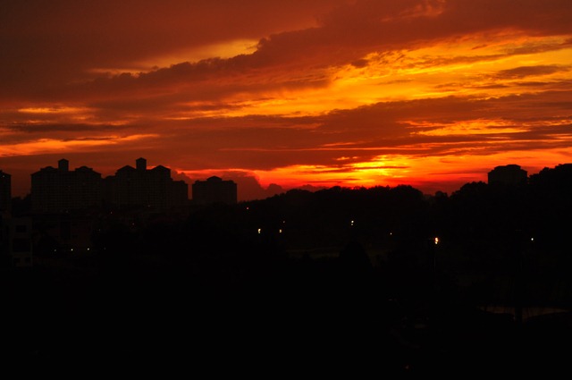 [DSC_9252[3].jpg]
