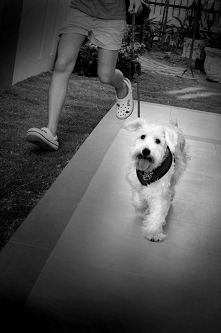 [_DSC1958[8].jpg]