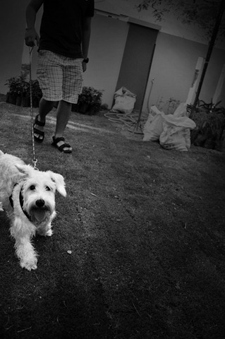 [_DSC1996[3].jpg]
