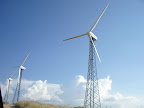 Sample pictures from Income with the wind photo gallery