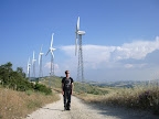 Sample pictures from Income with the wind photo gallery