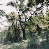 CNV000011.jpg