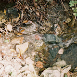 CNV000010.jpg
