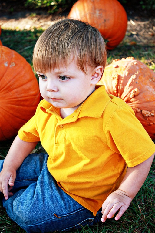 PumpkinPatch 064