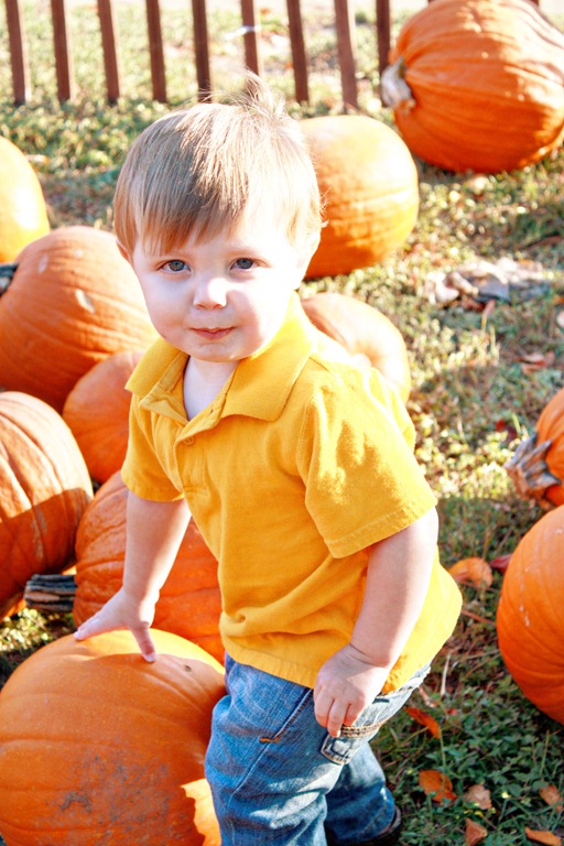 PumpkinPatch 100