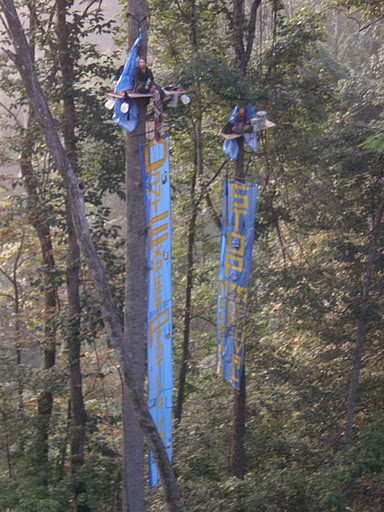 Climate Ground Zero activists in a tree sit in August 2009