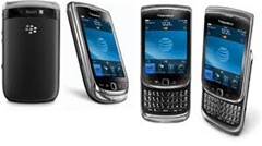 Blackberry-torch