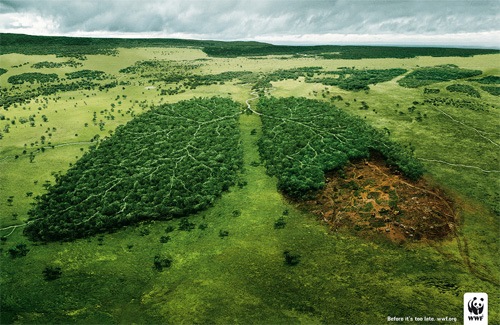 [wwf.org[2].jpg]