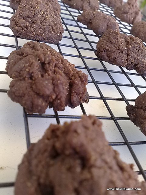 www.RickNakama.com sorghum chocolate cookies wheat free