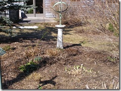 spring10 019