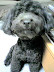 D1000034.JPG