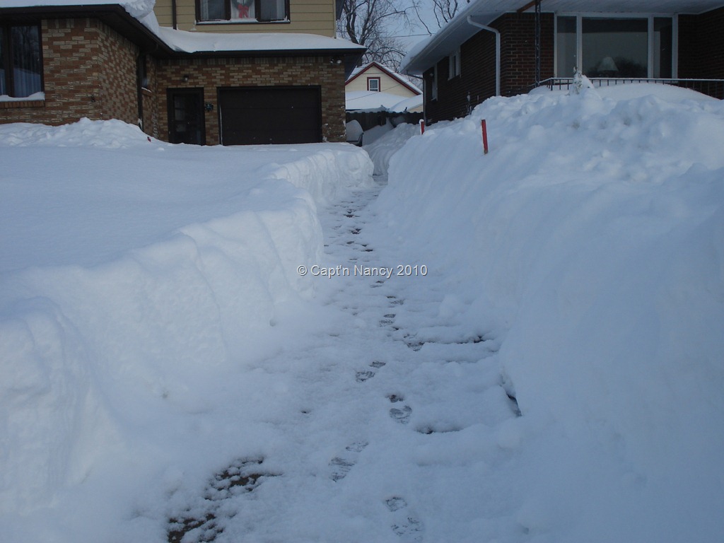 [DSC02143[16].jpg]
